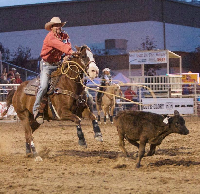 TieDown Roping Dinosaur Roundup Rodeo