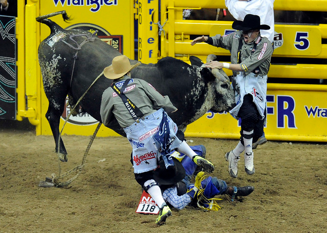 Cody Webster Professional Bullfighter