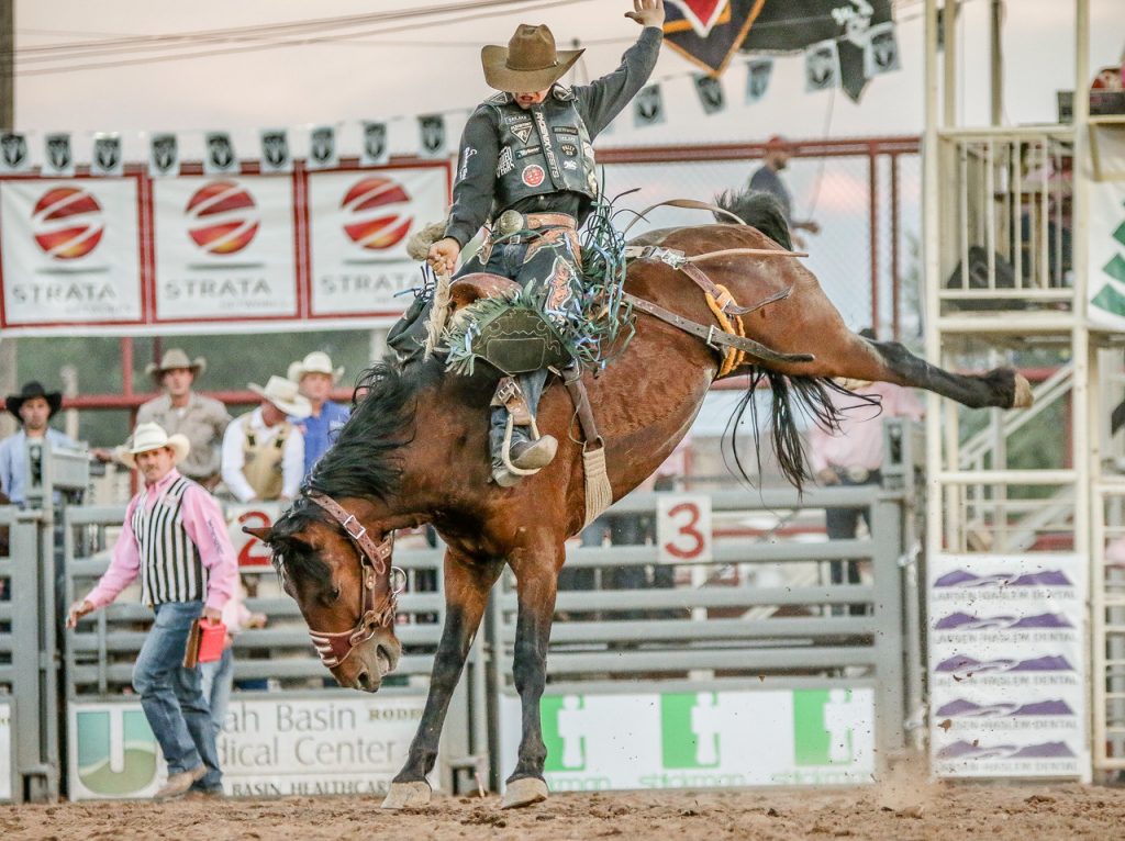 Saddle Bronc Riding Vernal's Dinosaur Roundup Rodeo