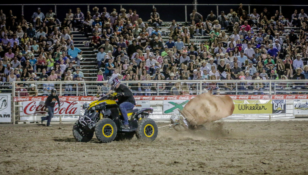 Wild West Events Vernal's Dinosaur Roundup Rodeo