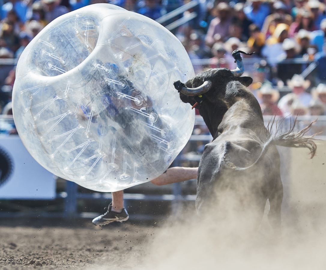 Wild West Events Vernal's Dinosaur Roundup Rodeo