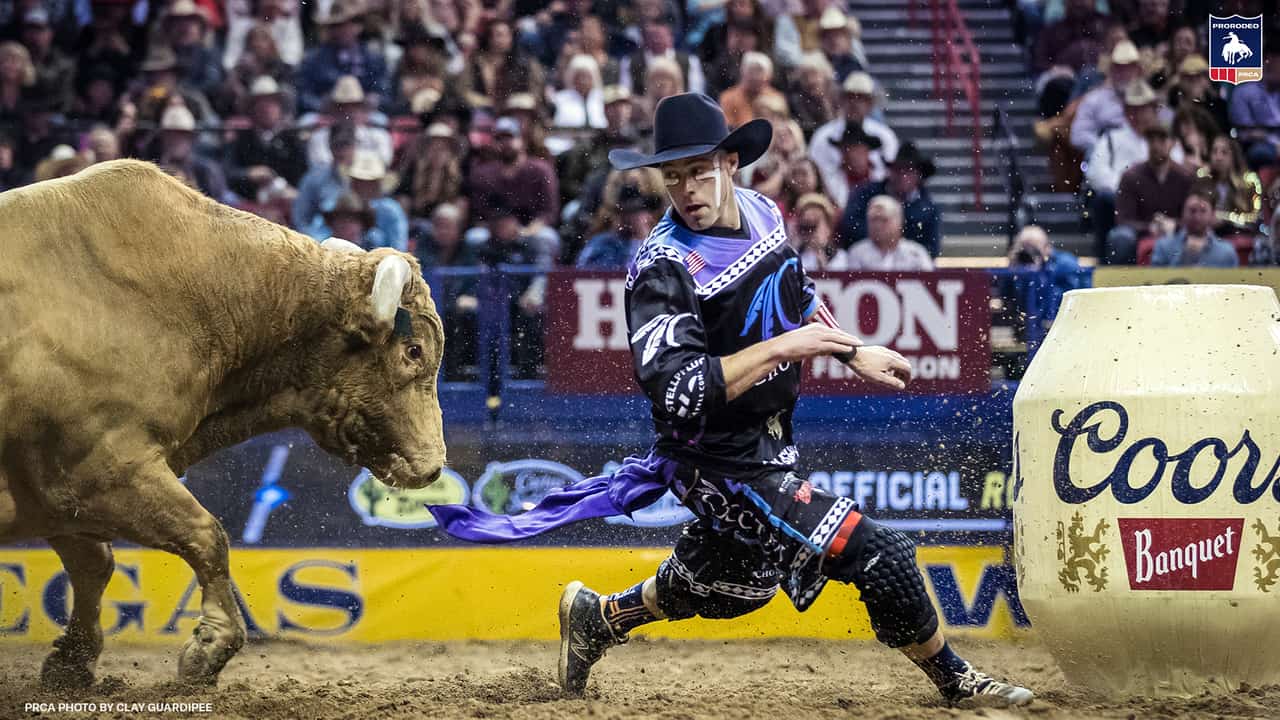 BULL SCHOOL — Cody Webster Professional Bullfighter