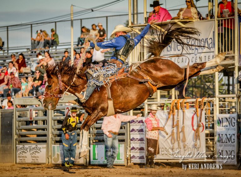 2018 Rodeo Results – Vernal's Dinosaur Roundup Rodeo