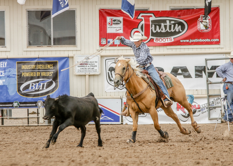 Junior Rodeo – Vernal's Dinosaur Roundup Rodeo